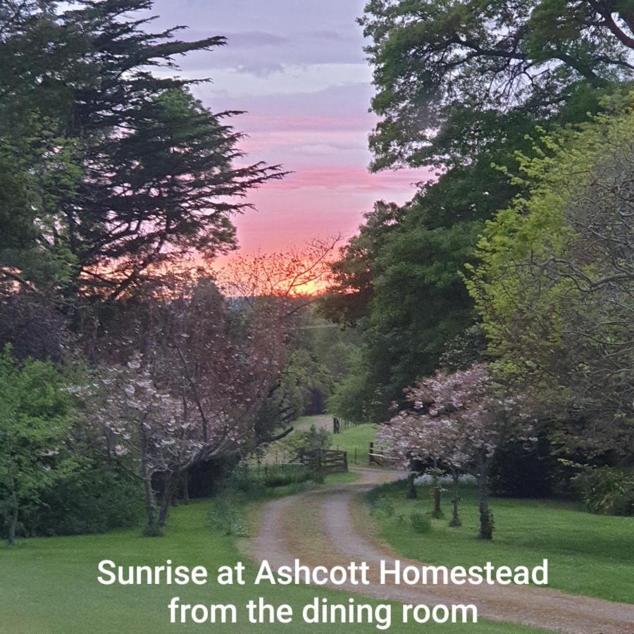 Ashcott Homestead Bed & Breakfast Takapau 外观 照片